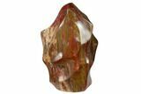 Polished Petrified Wood Flame - Madagascar #153274-1